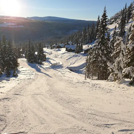 Svartbekklia 10